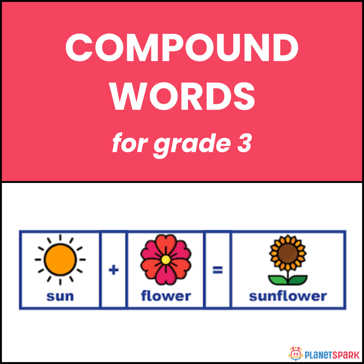 Class 3 English Grammar Worksheet on Compound Words