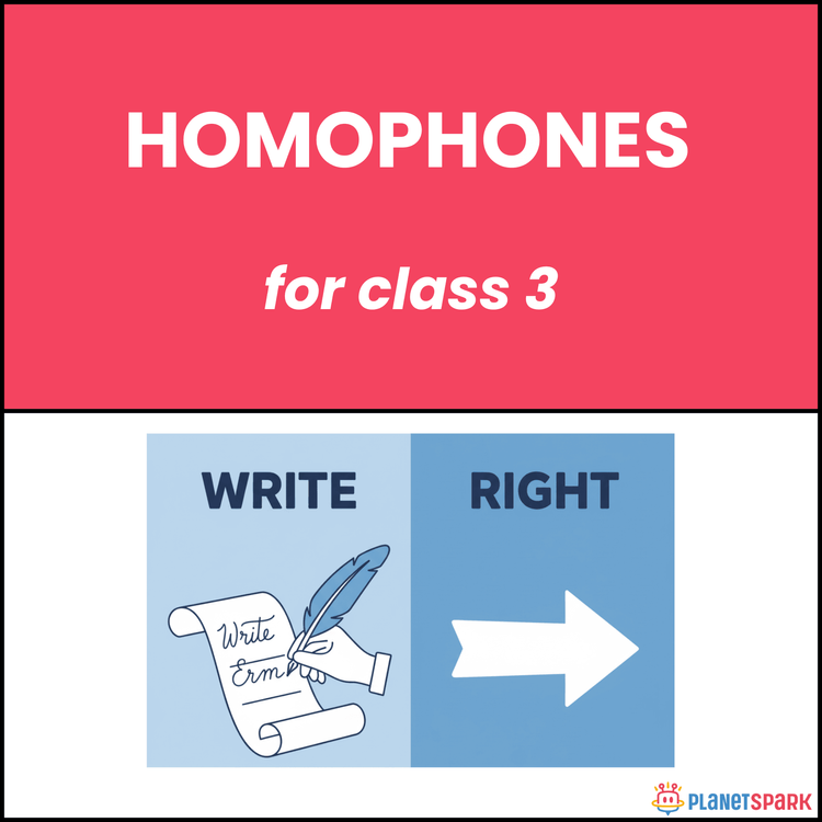 Class 3 English Grammar Worksheet on Homophones