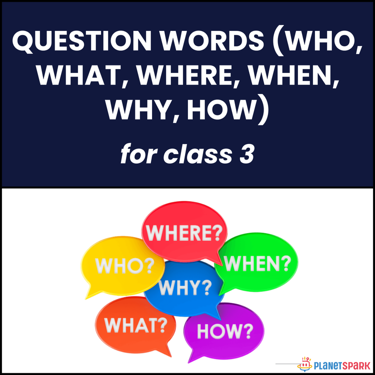 Class 3 English Grammar Worksheet on Question Words