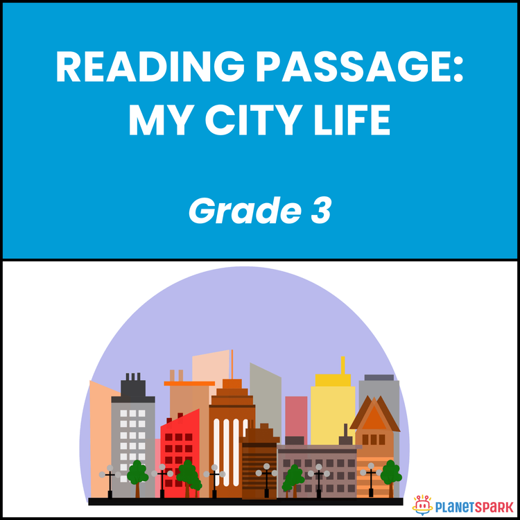 Class 3 Reading Passage on My City Life