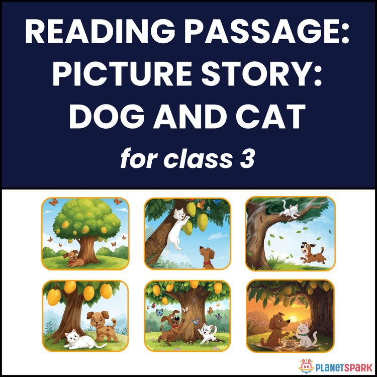 Class 3 Reading Passage: Picture Story on Dog and Cat