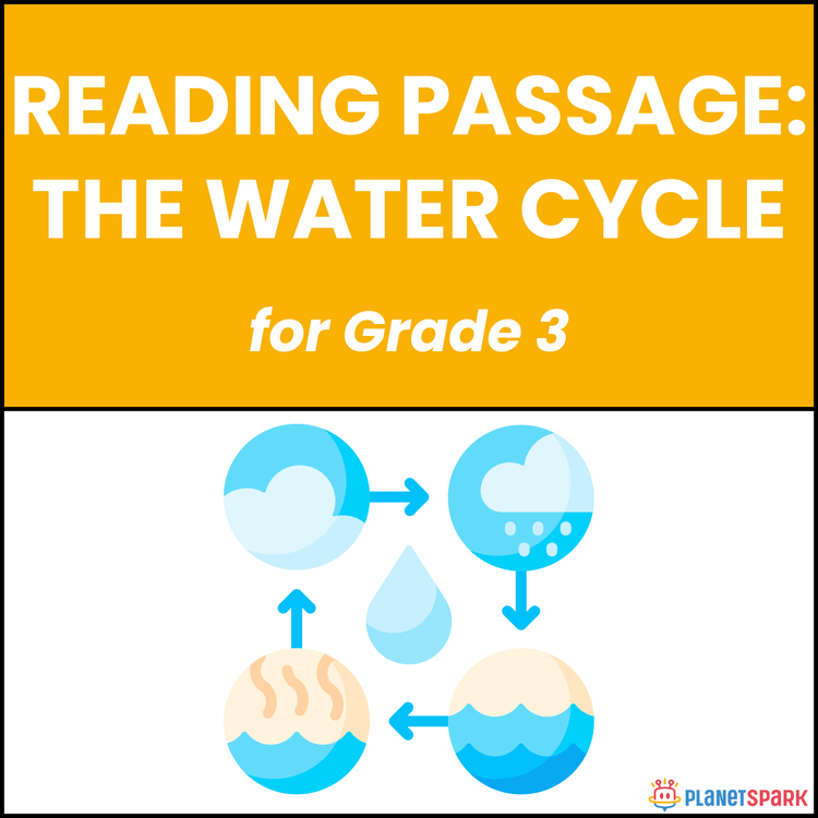 Class 3 Reading Passage on The Water Cycle