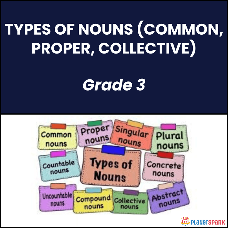 Class 3 Types of Nouns English Grammar Worksheet