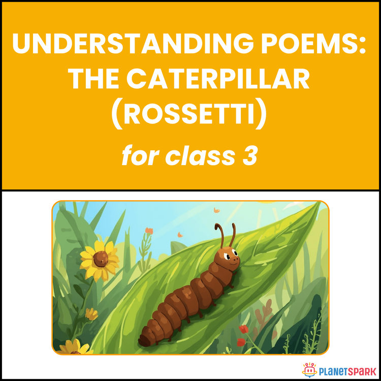 Class 3 Understanding Poem on The Caterpillar