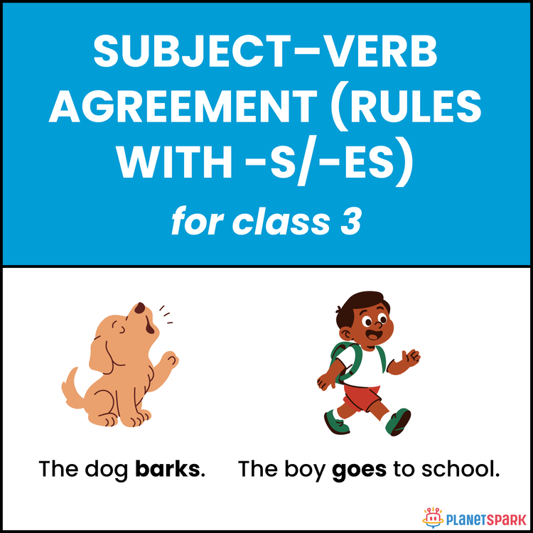 Class 3 Worksheet on Subject Verb Agreement Rules