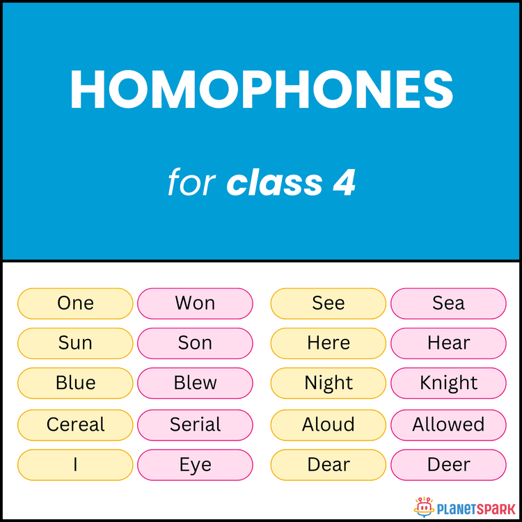 Class 4 English Grammar Worksheet on Homophones