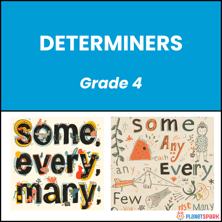 Class 4 Worksheet on Determiners Usage Rules