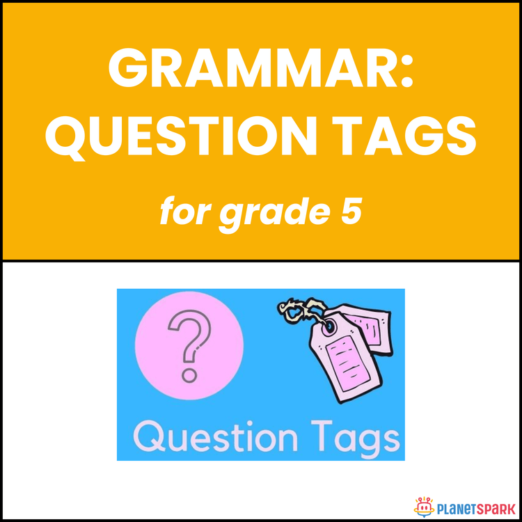 Class 5 Grammar Worksheet on Question Tags