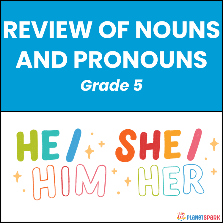 Class 5 Nouns and Pronouns Mixed Review Worksheet