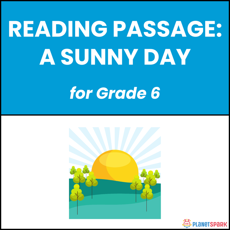 Class 6 Reading Passage on A Sunny Day