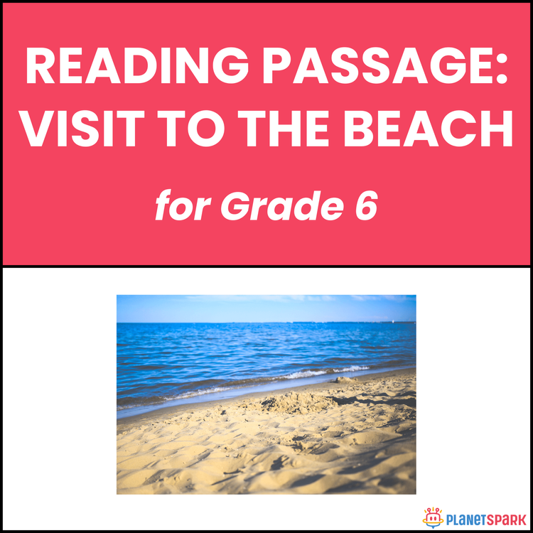 Class 6 Reading Passage on Beach Visit