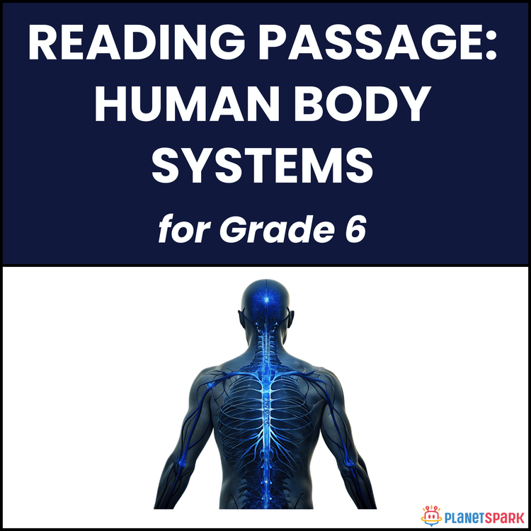 Class 6 Reading Passage on Human Body Systems