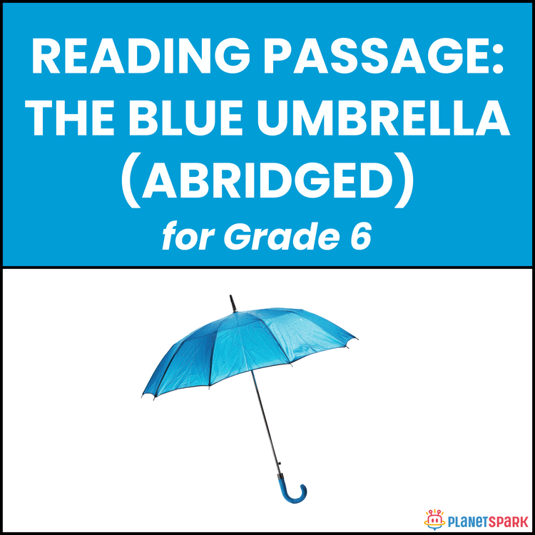 Class 6 Reading Passage on The Blue Umbrella