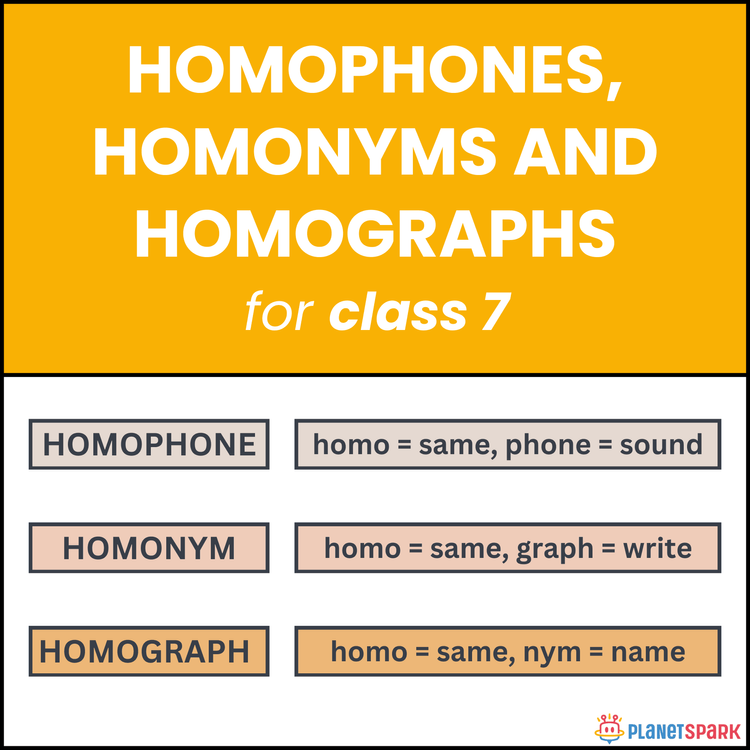 Class 7 Homophones and Homographs Worksheet