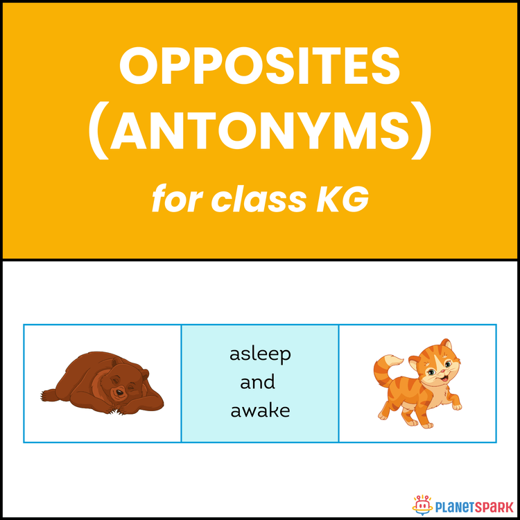 Class KG English Grammar Worksheet: Opposite Words
