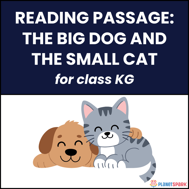 Class KG Passage on The Big Dog and the Small Cat