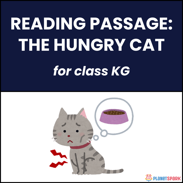 Class KG Reading Comprehension on The Hungry Cat