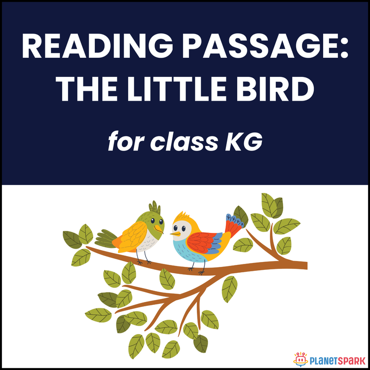 Class KG Reading Comprehension on The Little Bird