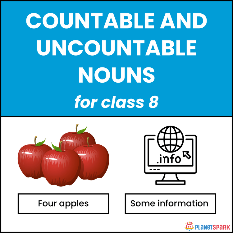 Class eight Worksheet on Countable and Uncountable Nouns