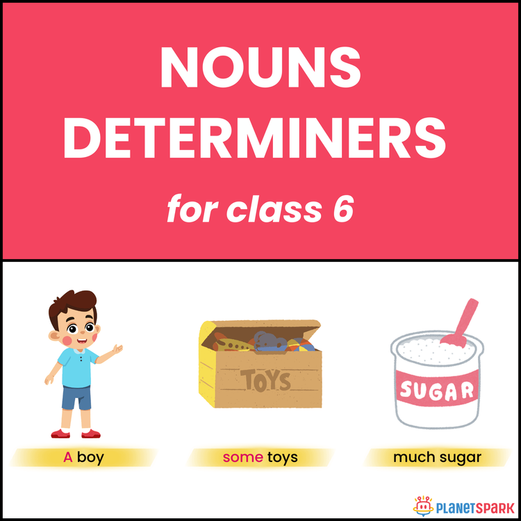 Class six Grammar Worksheet on Nouns with Determiners