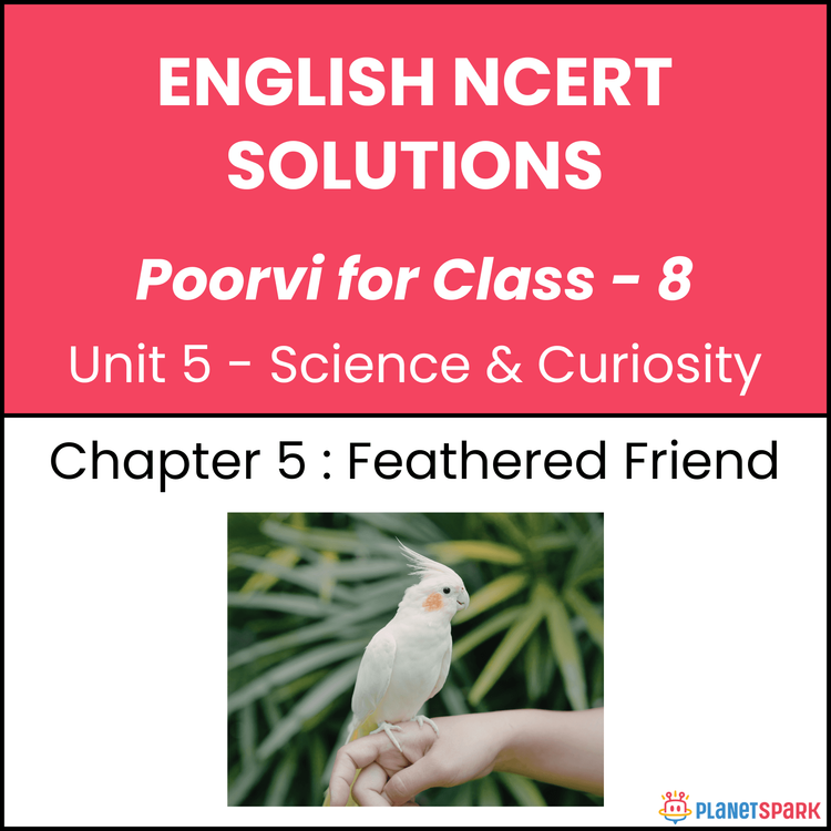 NCERT Solutions for Class 8 English Unit 5 Chapter 1 Feathered Friend