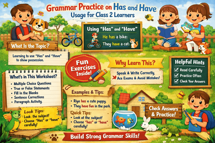 Has An Grammar Practice on Has and Have Usage for Class 2 Learners