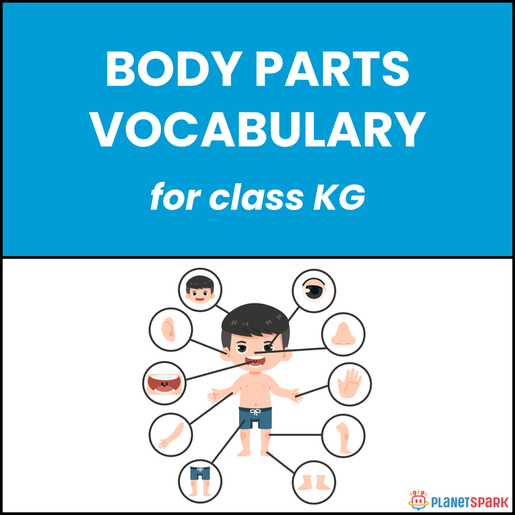 KG English Worksheet on Human Body Parts