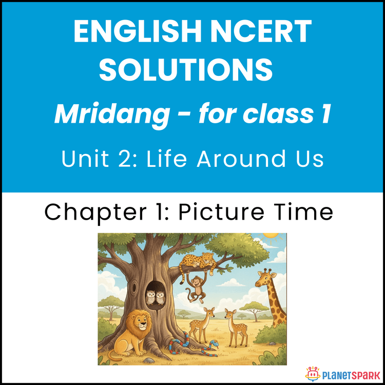 NCERT Solutions for Class 1 English Chapter Picture Time