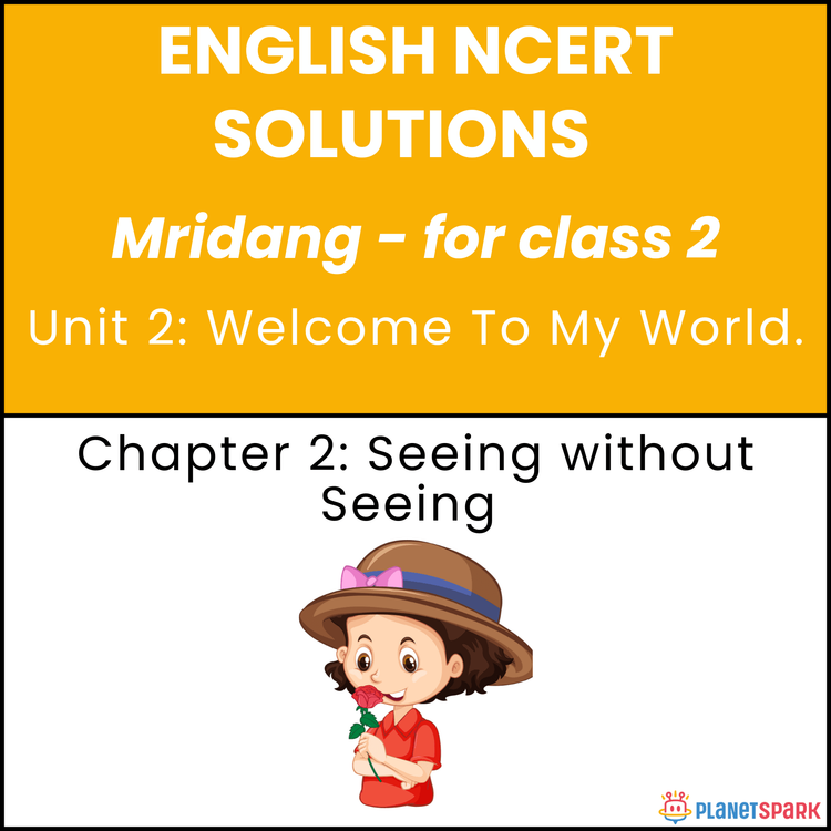 NCERT Solutions for Class 2 English Chapter Seeing without Seeing