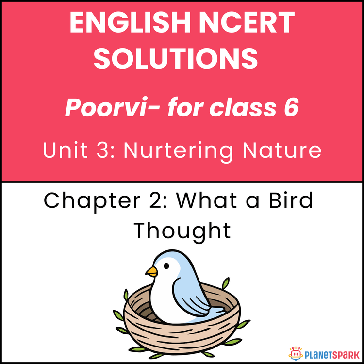 NCERT Solutions for Class 6 English Unit 3 Chapter 2 What a Bird Thought