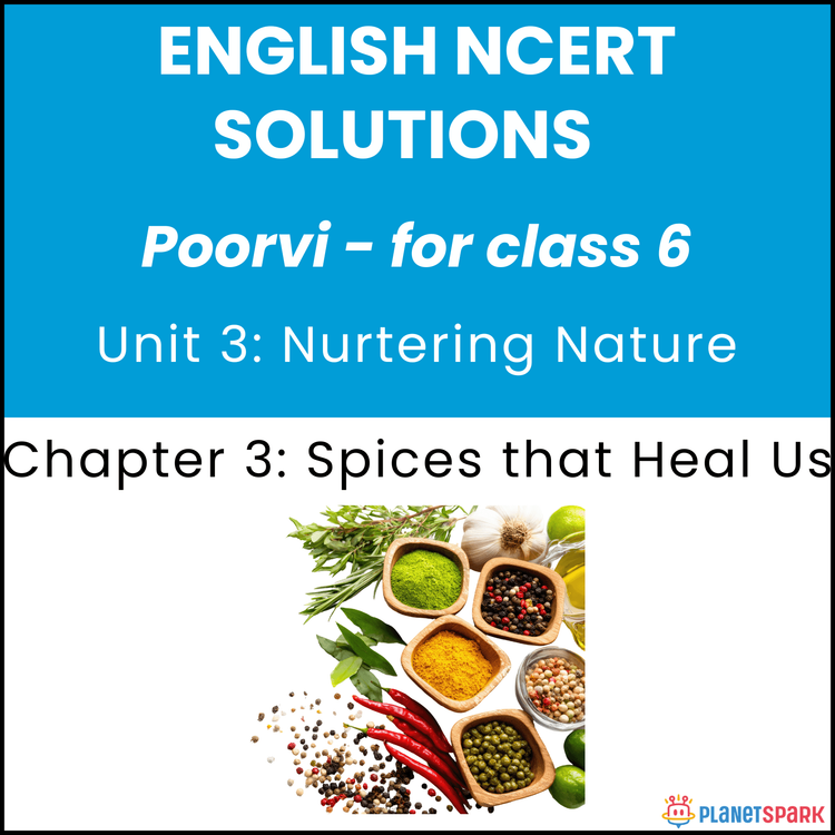NCERT Solutions for Class 6 English Unit 3 Chapter 3 Spices that Heal Us