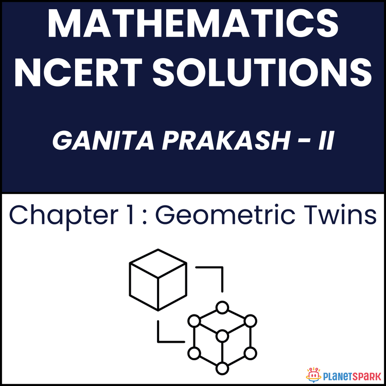 NCERT Solutions for Class 7 Mathematics Chapter 1 Geometric Twins