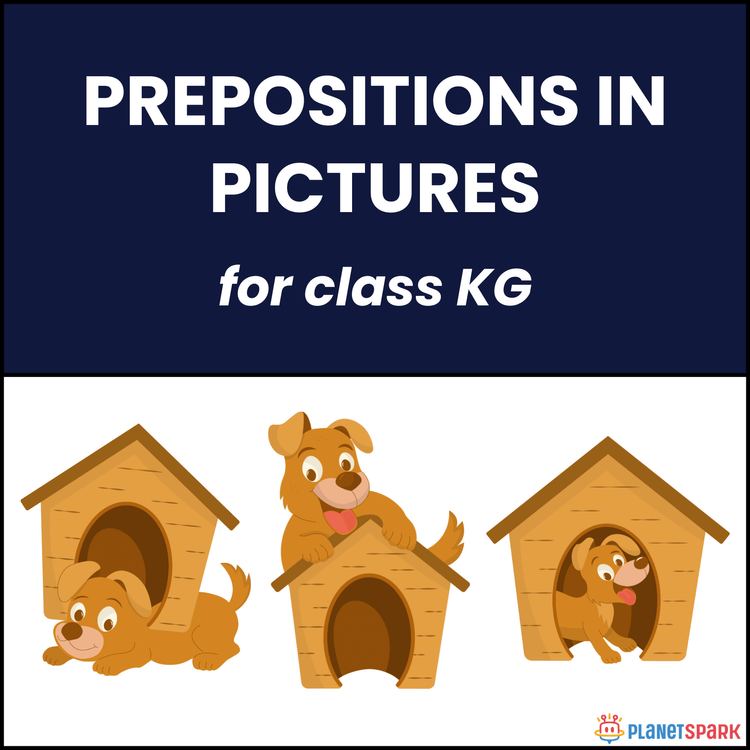 Class KG Worksheet on Prepositions in Pictures