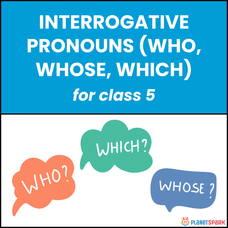 Class 5 Subject Verb Agreement with Indefinite Pronouns