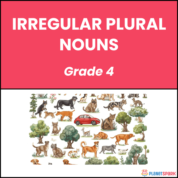 Class 4 Worksheet on Irregular / Regular Plural Nouns