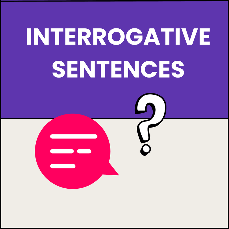 Interrogative Sentences Worksheet