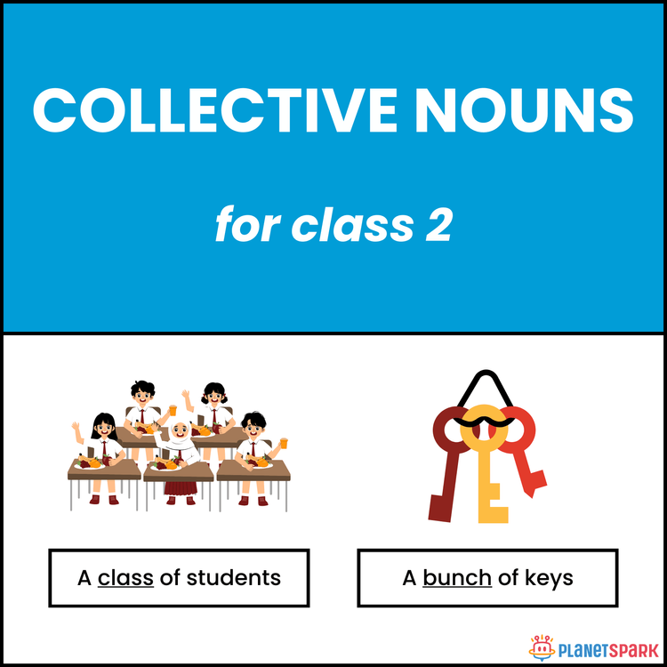 Class two English Grammar Worksheet: Collective Nouns