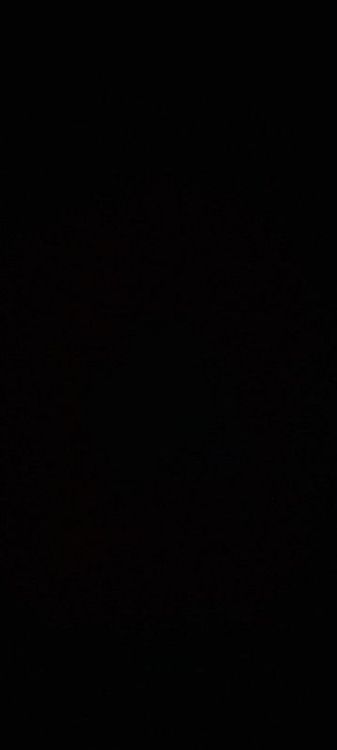 photo-0