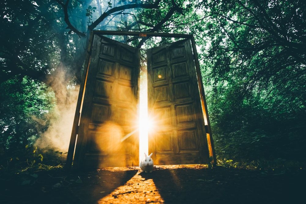 narnia.jpg