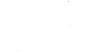 photo-0