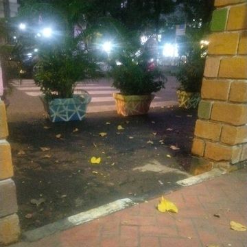 photo-1