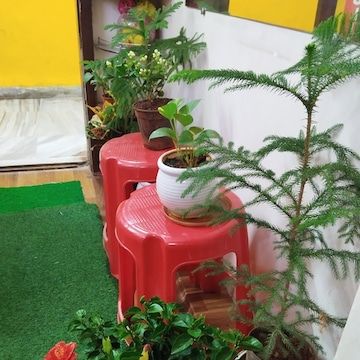 photo-10