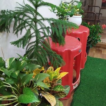 photo-10
