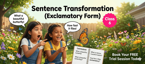 Exclamatory Sentences Worksheet for Class 6 PDF