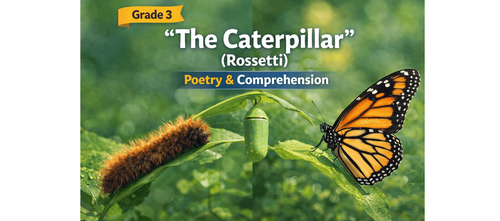 Caterpillar Poem Analysis Worksheet for Class 3 Students