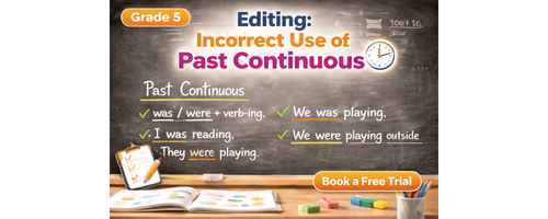 Class 5 Past Continuous Tense Worksheet Practice PDF