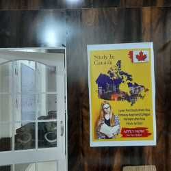 photo-4