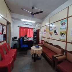 photo-7