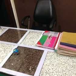 photo-5