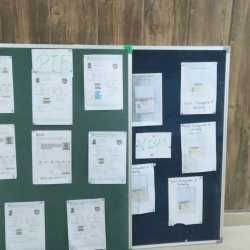 photo-5
